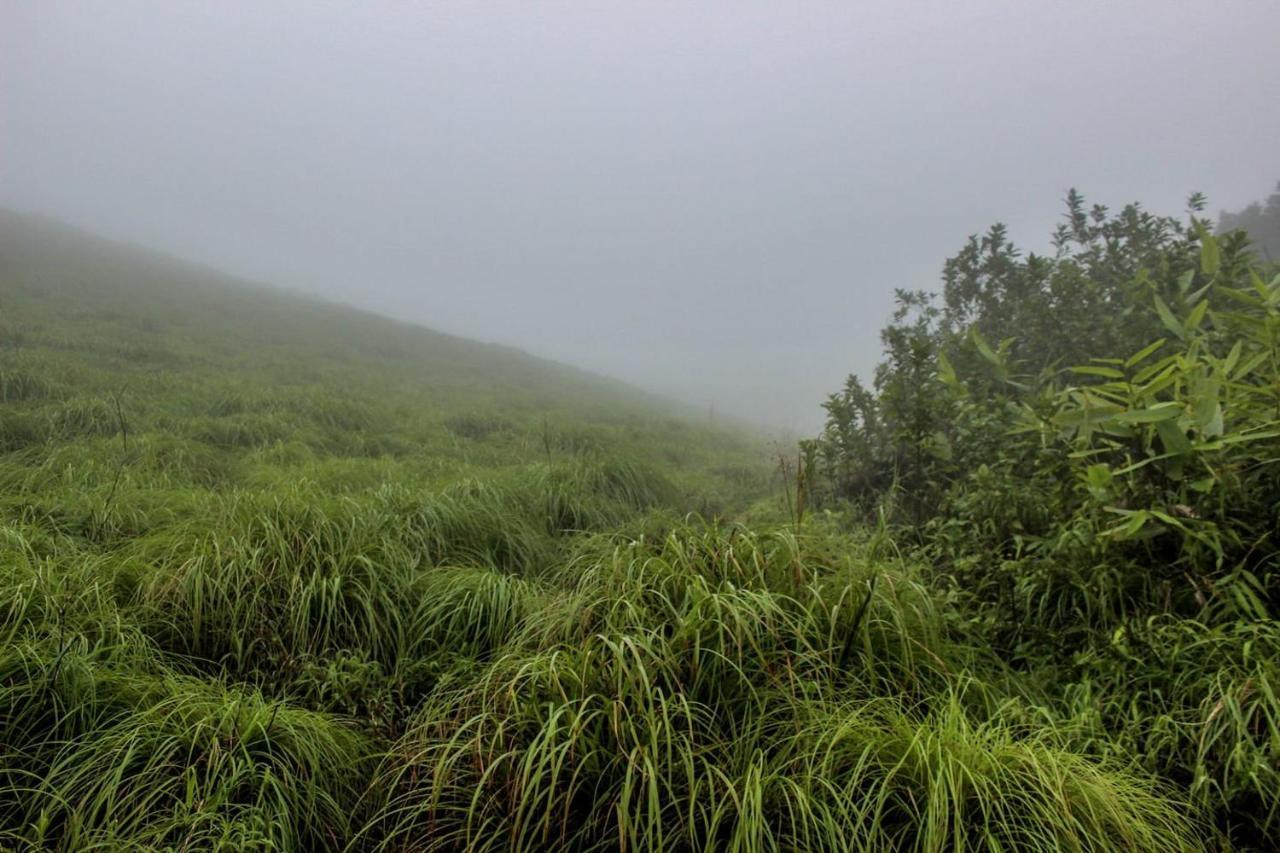 7Th Heaven Kannur Chakkarakkal Exteriér fotografie